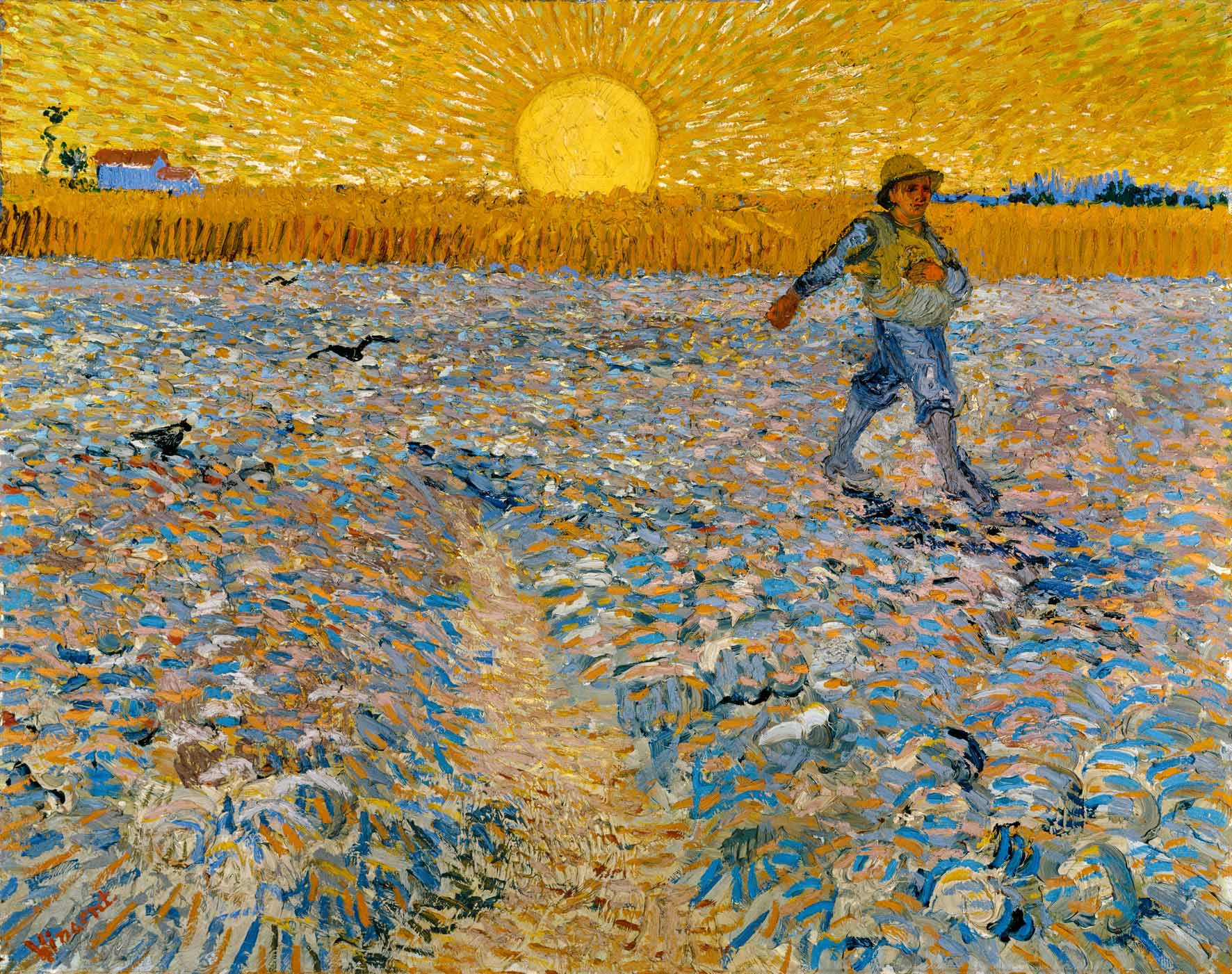 Girasoli Vita E Morte Vincent Van Gogh Colori Vivaci Magazine